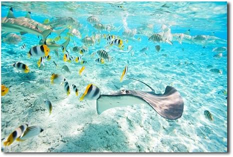 Amazon Co Jp レモンツリーart 海 海の魚 青海 キャンバス絵画 インテリアアート パネル アートフレーム 壁掛け 壁飾り アートパネル 現代モダン 60ｘ40cm ホーム キッチン