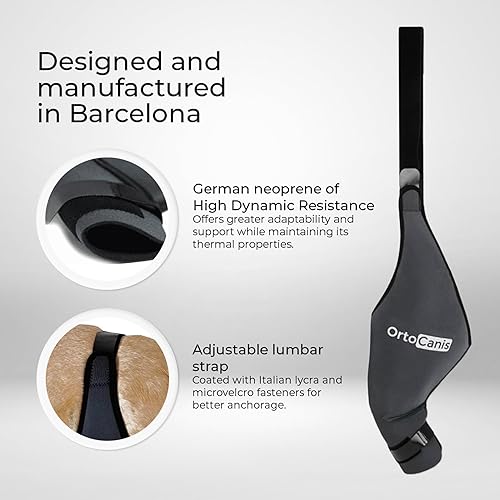 Miniatura 5 de Ortocanis Rodillera para perro para desgarro de pierna trasera, lesiones de ligamento cruzado, dislocación de rótula u osteoartritis  Rodillera para