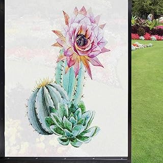 Cactus Window Film Privacy Film,Cactus Spikes Flower in Hot Mexican Desert Sand Botanical Natural Image Window Film Privacy Tint for Home UV Blocking Privacy,Pink Green 24x 36, Green,Pink