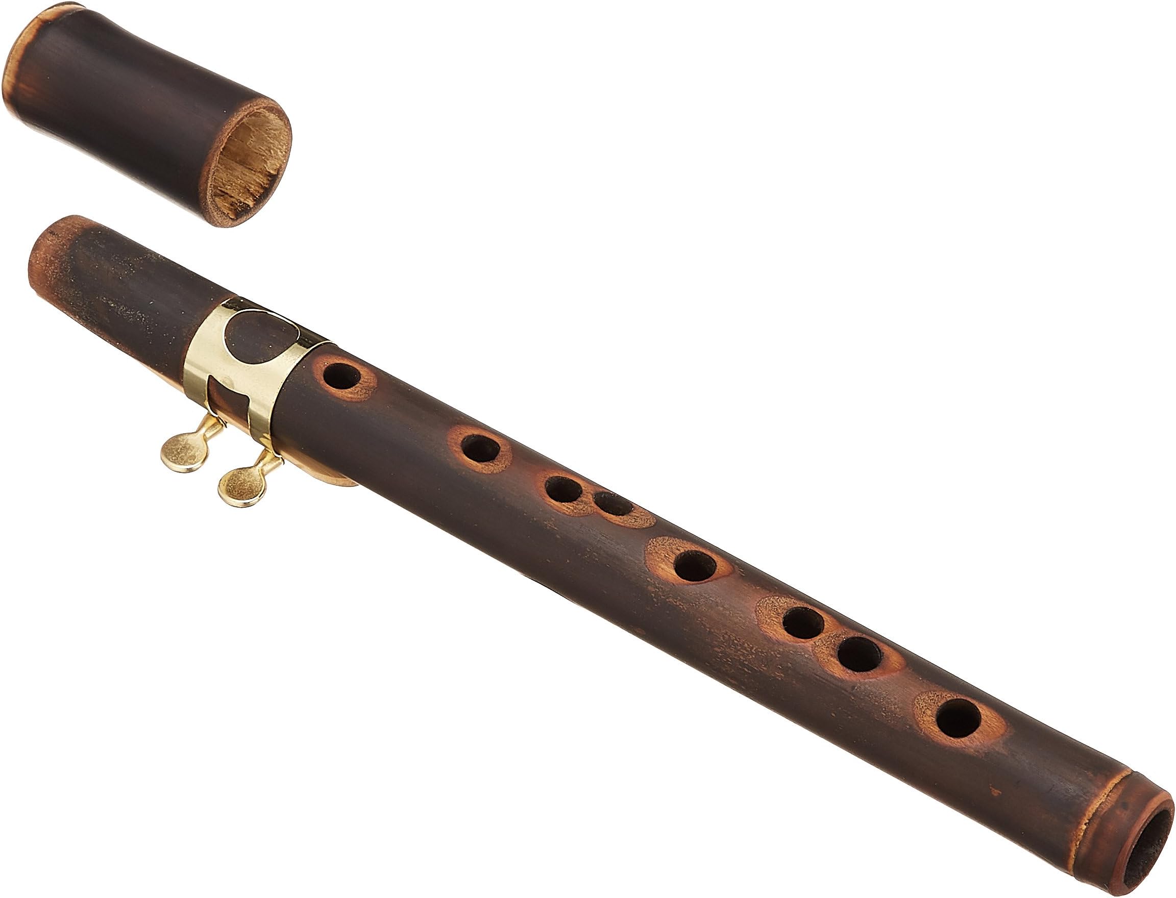 Amazon Xaphoon ザフーン 竹製サックス BAMBOO SAX (Key E♭) 【国内正規品】 リード 楽器・音響機器