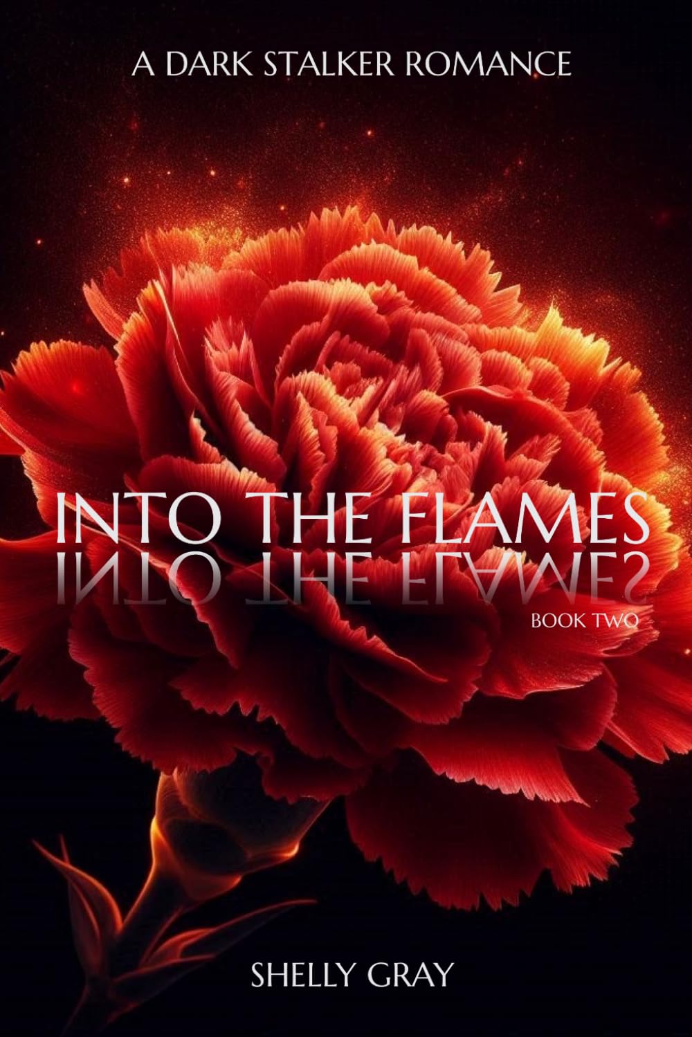 INTO THE FLAMES BOOK TWO (FROM THE ASHES DUET)