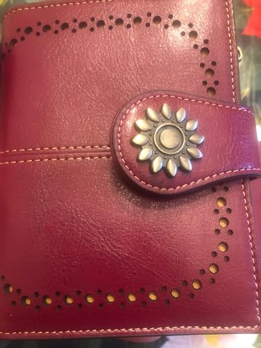 Review Image by Amazon Customer
