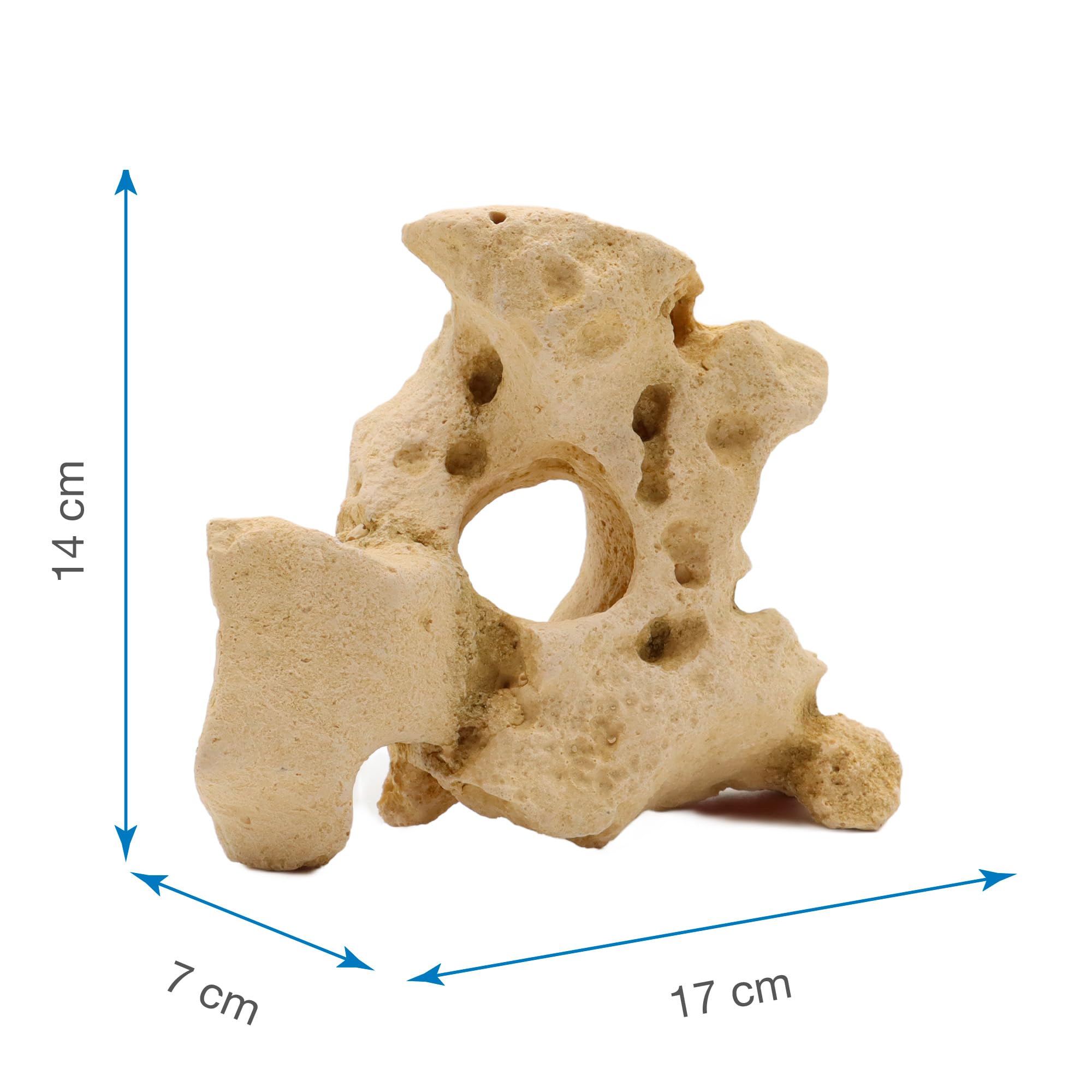 WAVE Rocher de Décoration Roche Gallura pour avec Trou Aquariophilie Beige Taille S