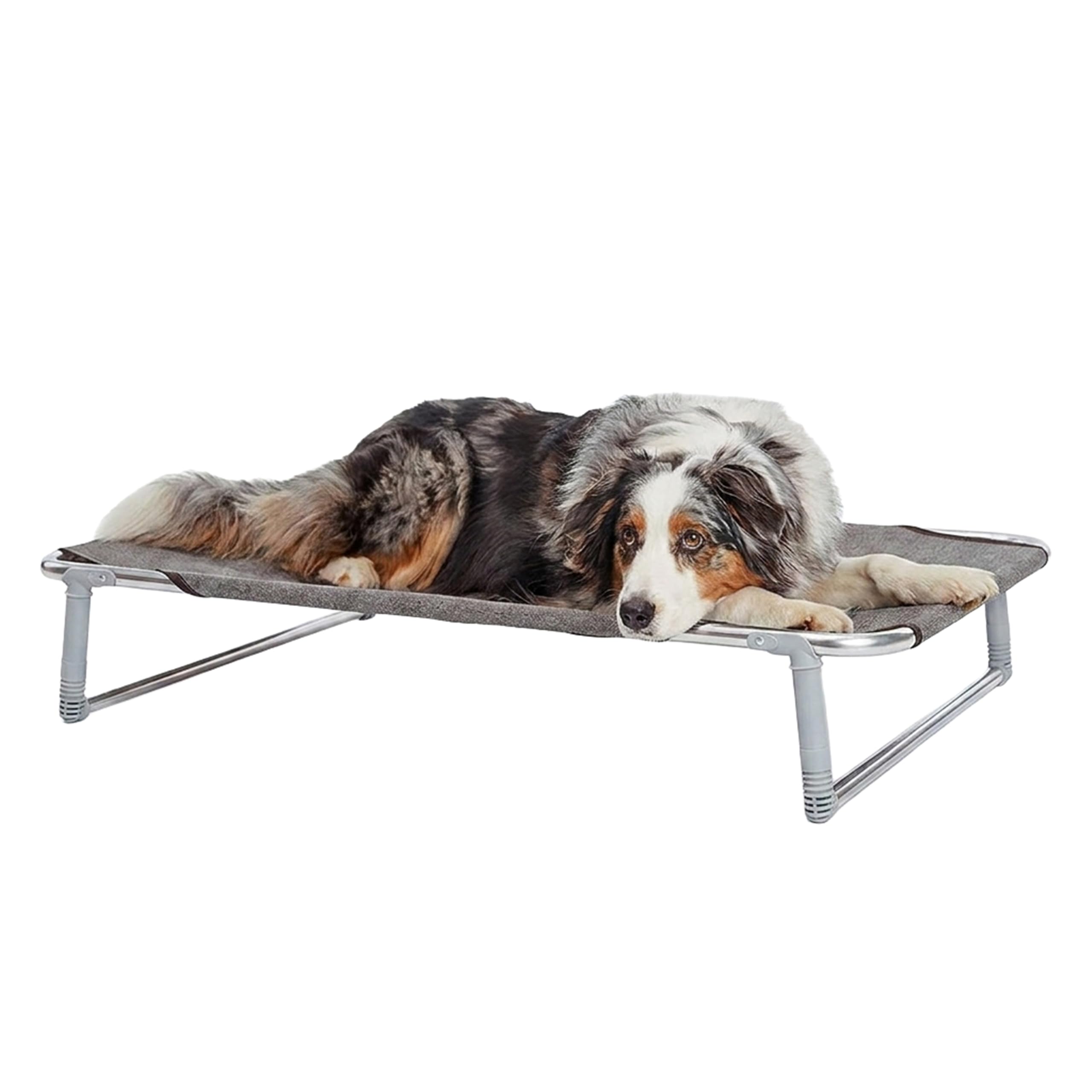 Lit pliable pour chiens DREAM Ferplast en aluminium et toile tendue taupe