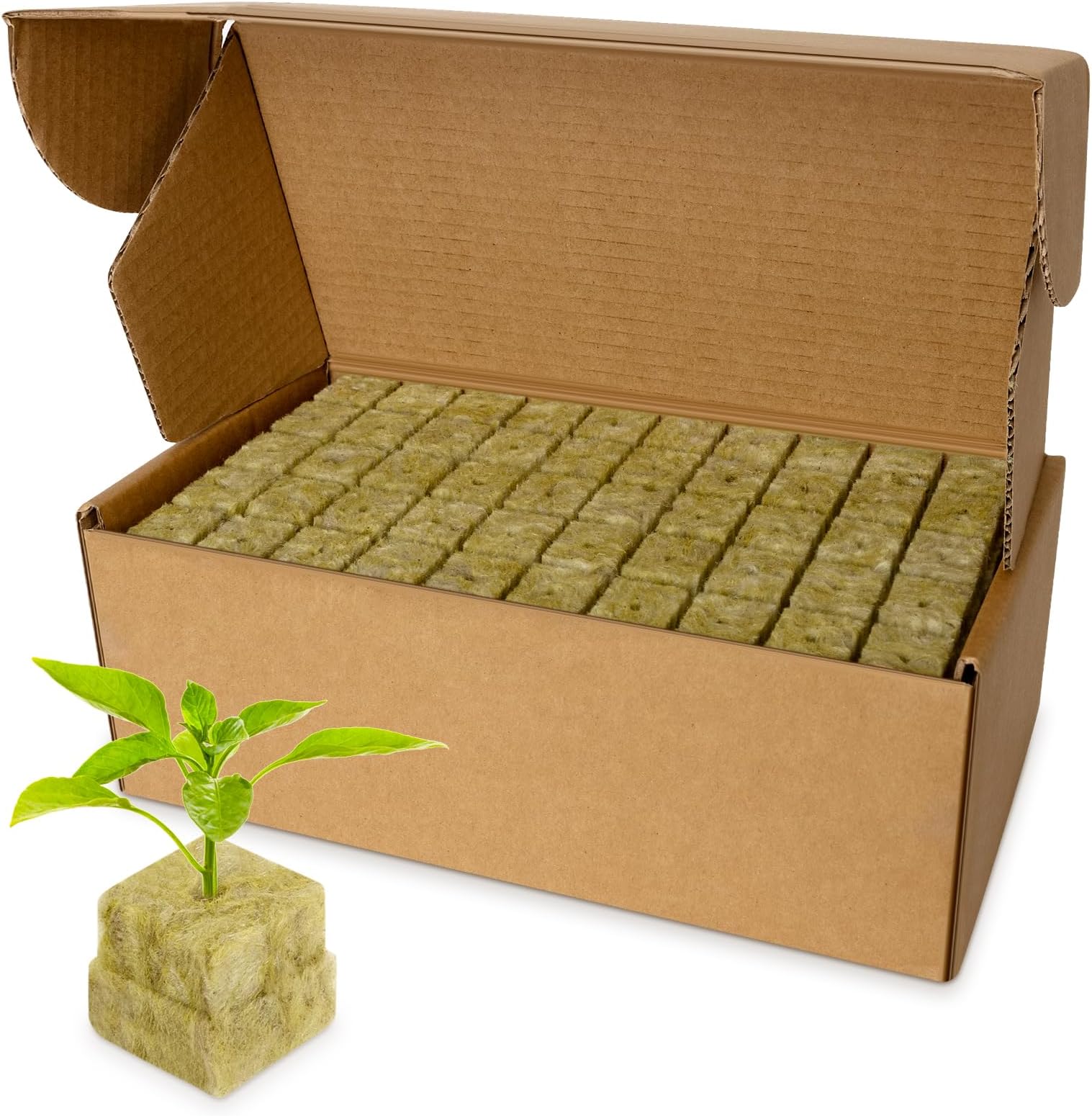 50 PCS Cubes Laine De Roche Hydroponie DELAIHUIL - Cubes De Culture Pour Semis Et Bouturage