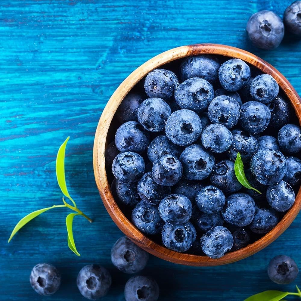 Brighter Blooms - Brightwell Blueberry, 1 Gallon - No Shipping to AK, AZ, CA, GA, HI, OR, WA