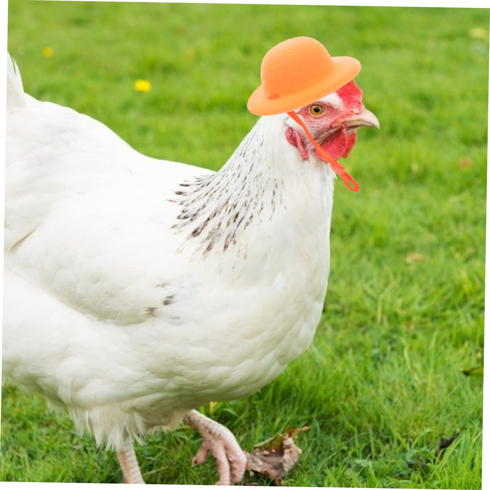 ひよこちゃん♡にわとり帽