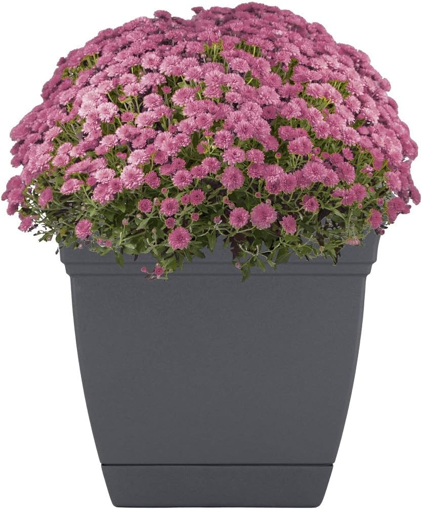 The HC Companies ECP08000DE21024LRDGQ planters, 8", Slate Blue : Everything Else
