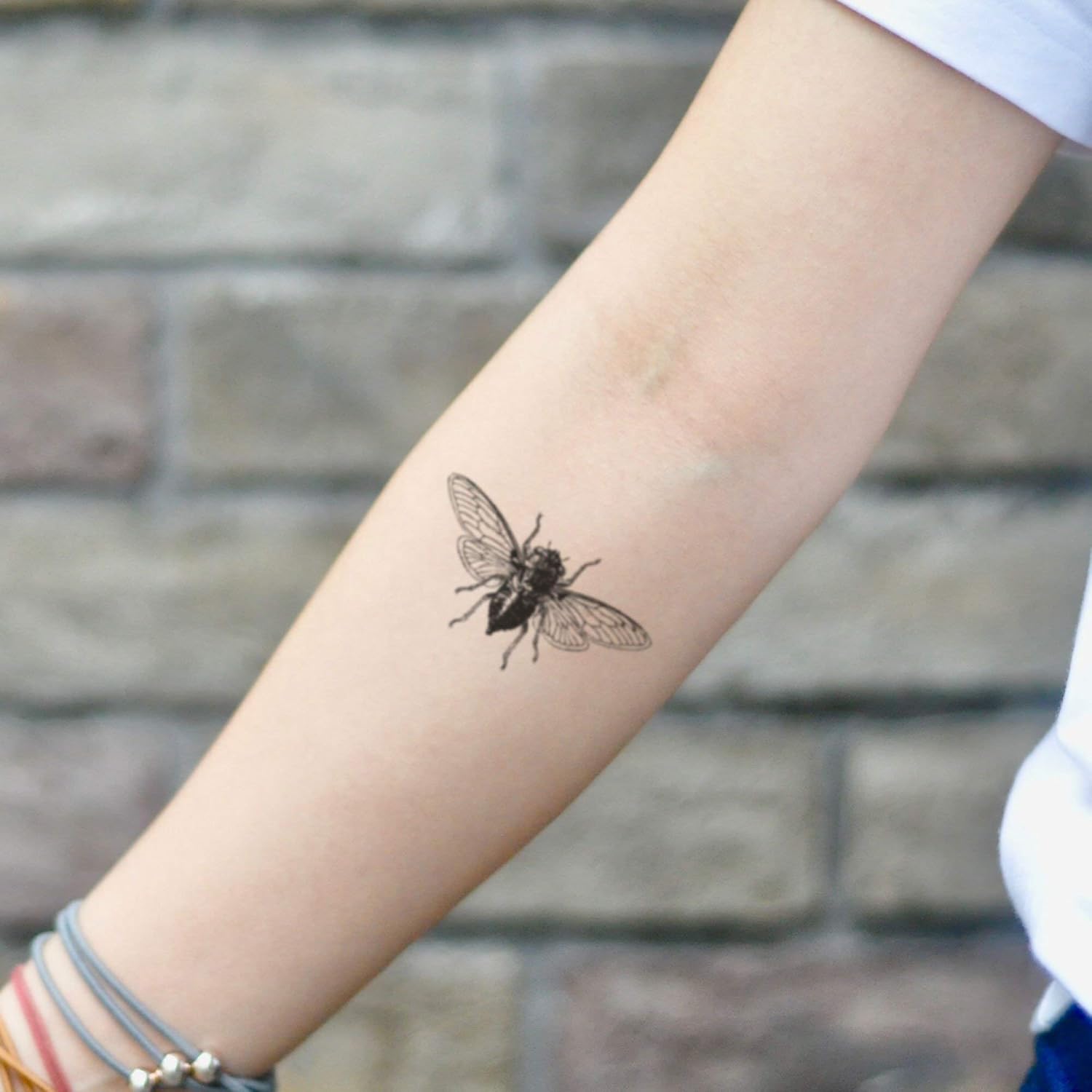Cicada Temporary Tattoo Sticker (Set of 2) - OhMyTat : Beauty & Personal Care
