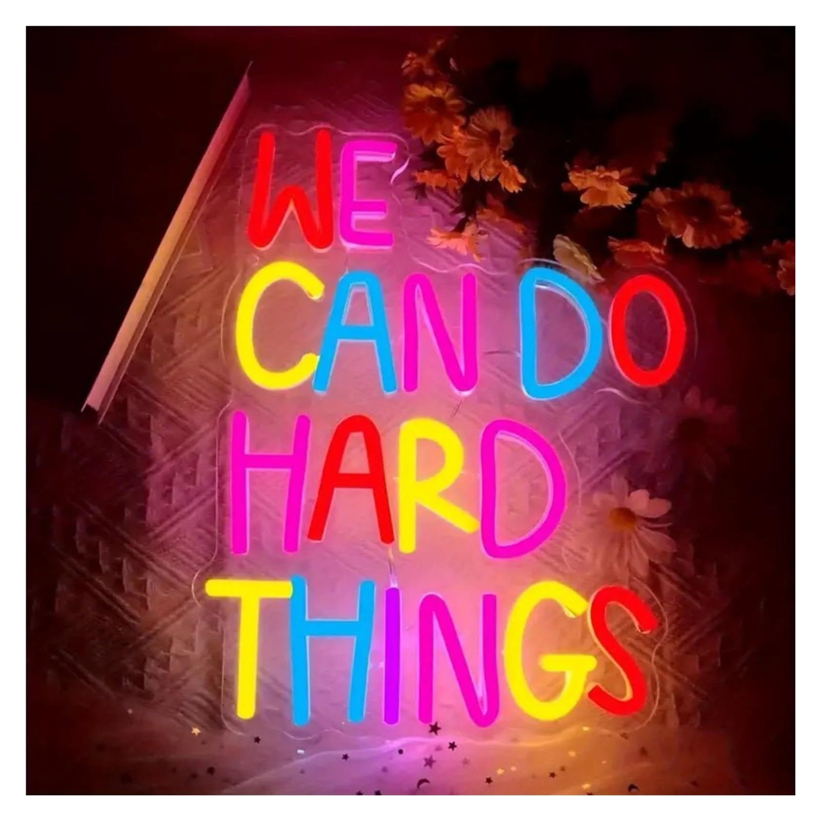LEMST Sign Lamp We Can Do Hard Thins Neon Signs, Dimmable Signs,Birthday Party, Classroom Background Decoration 34x27cm