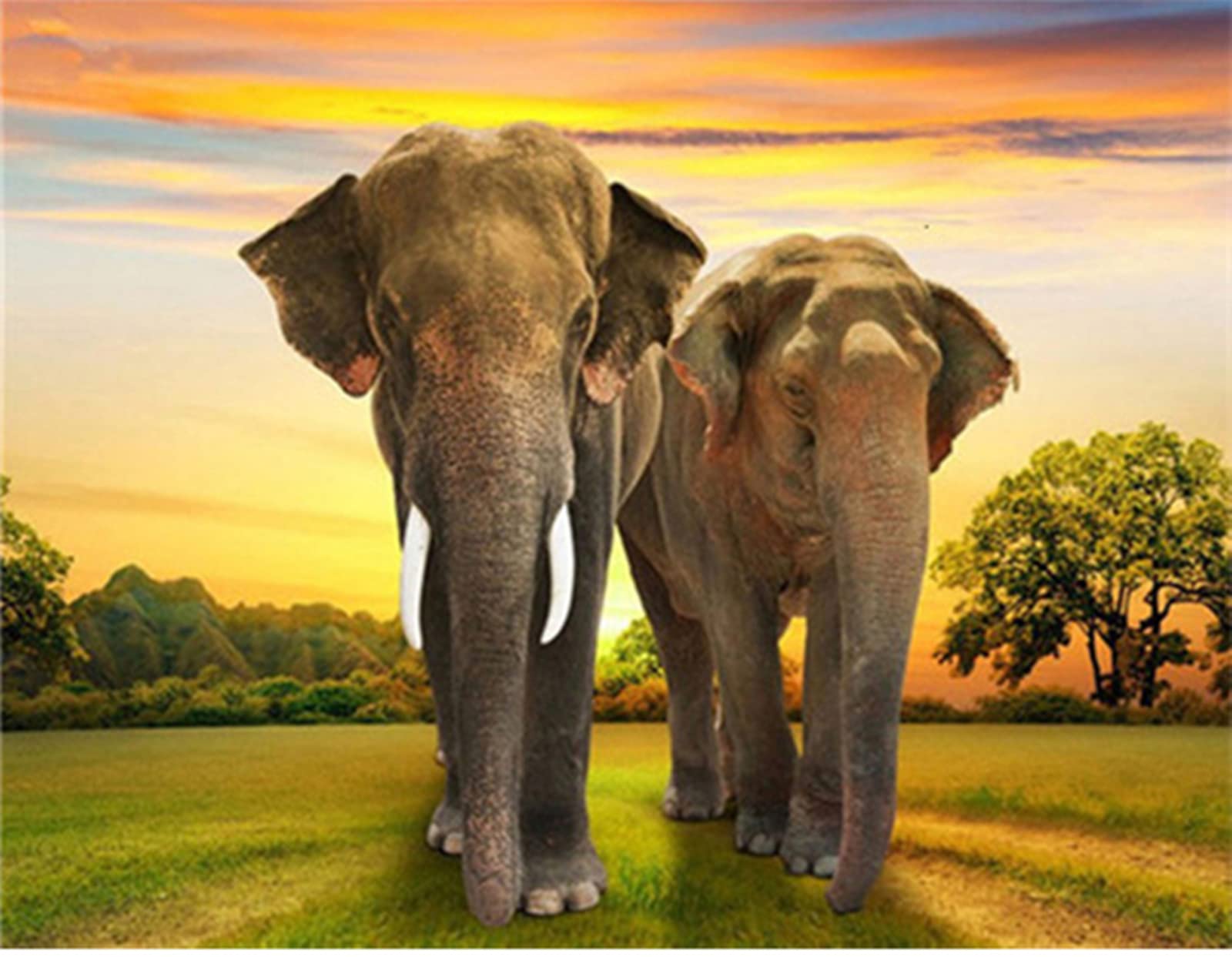 WYDMA Puzzles 1500 Stück für Erwachsene Elefant Geschicklichkeitsspiele FüR Die Ganze Familie, Bunte Puzzles, Fertige Größe 87.5×57.5cm
