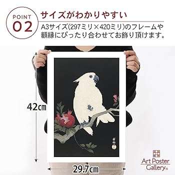 Amazon.co.jp: ポスター 小原古邨 『鸚鵡に柘榴(日本画)』 A3