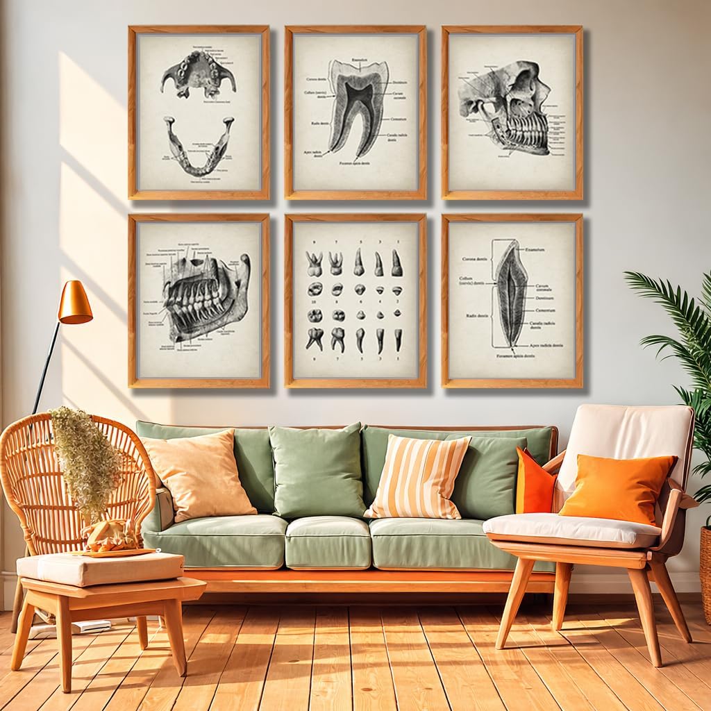 Vintage Dental Anatomy Illustration Poster Set Featuring Tooth Structure Print Jaw Bones for Dentist Office Decor, Orthodontist Clinic Accent, Hygiene Room Motivation, Home Study Reference, Lab Inspiration Corner, Med Student Surprises, Aspiring Dentist Tokens, Hygienist Appreciation Gifts, Ortho Assistant Honors, Oral Surgeon Keepsakes, Graduation Markers, Parent Pride Souvenirs, Festival Smiles Tokens - 8x10 Unframed Print Set