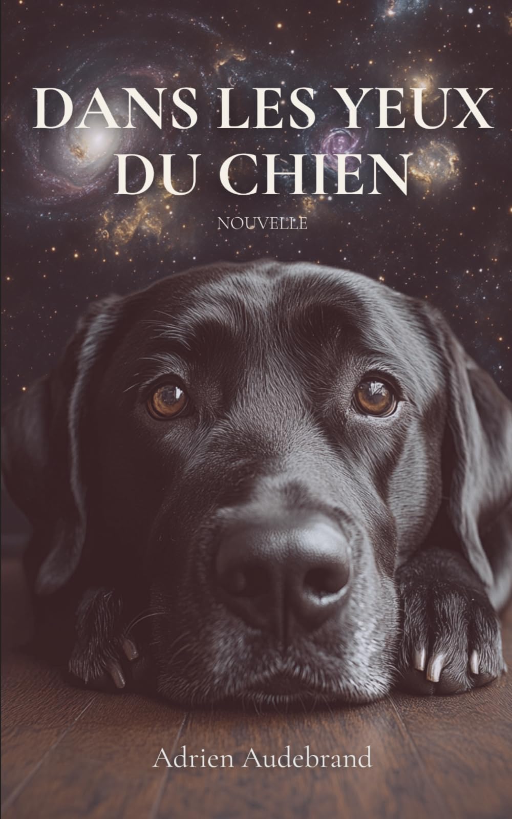 Dans les yeux du chien