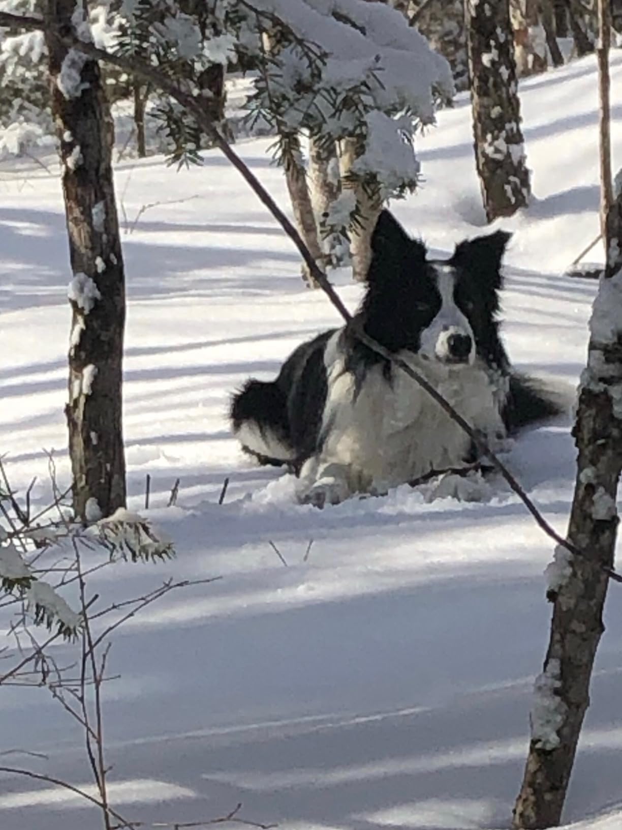 Easy to use, great results.