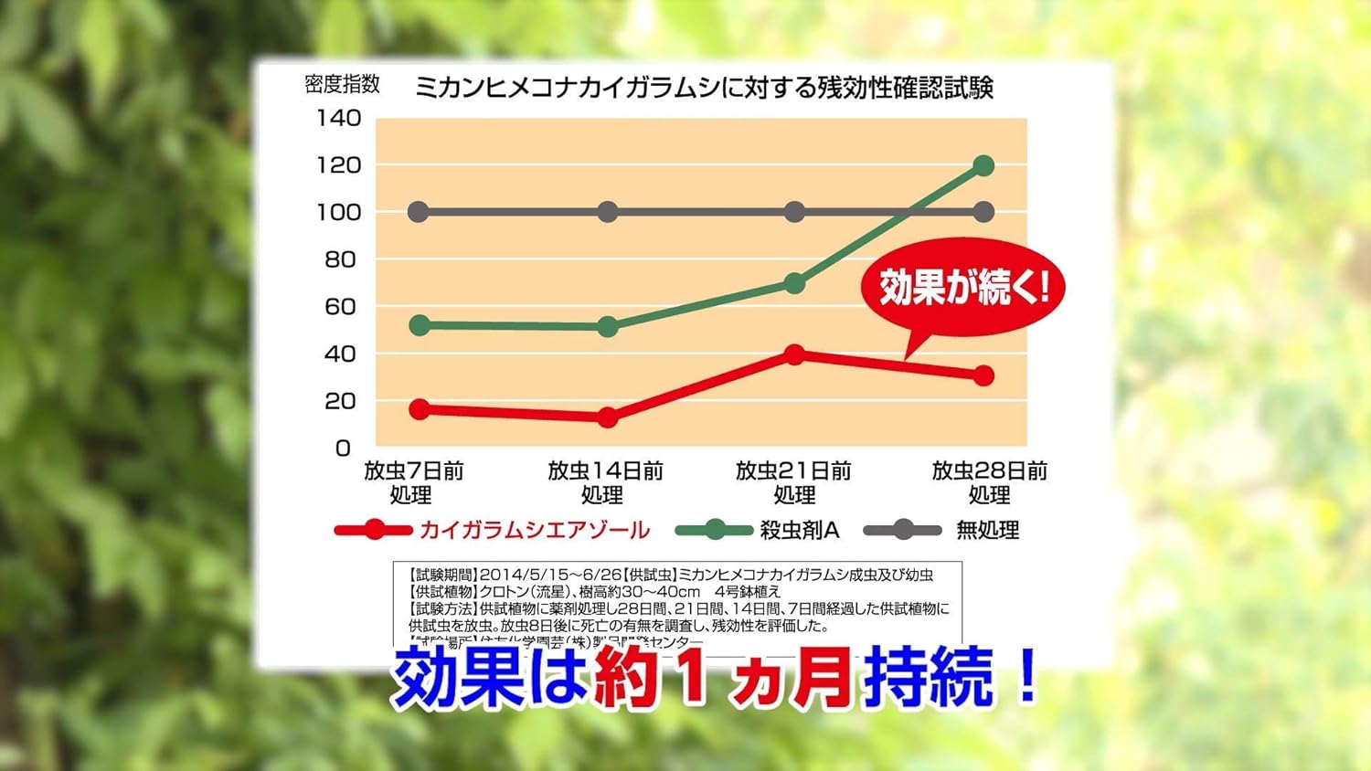Amazon セット買い 住友化学園芸 殺虫剤 カイガラムシエアゾール 480ml 殺菌剤 トップジンmペースト 100g Diy 工具 ガーデン