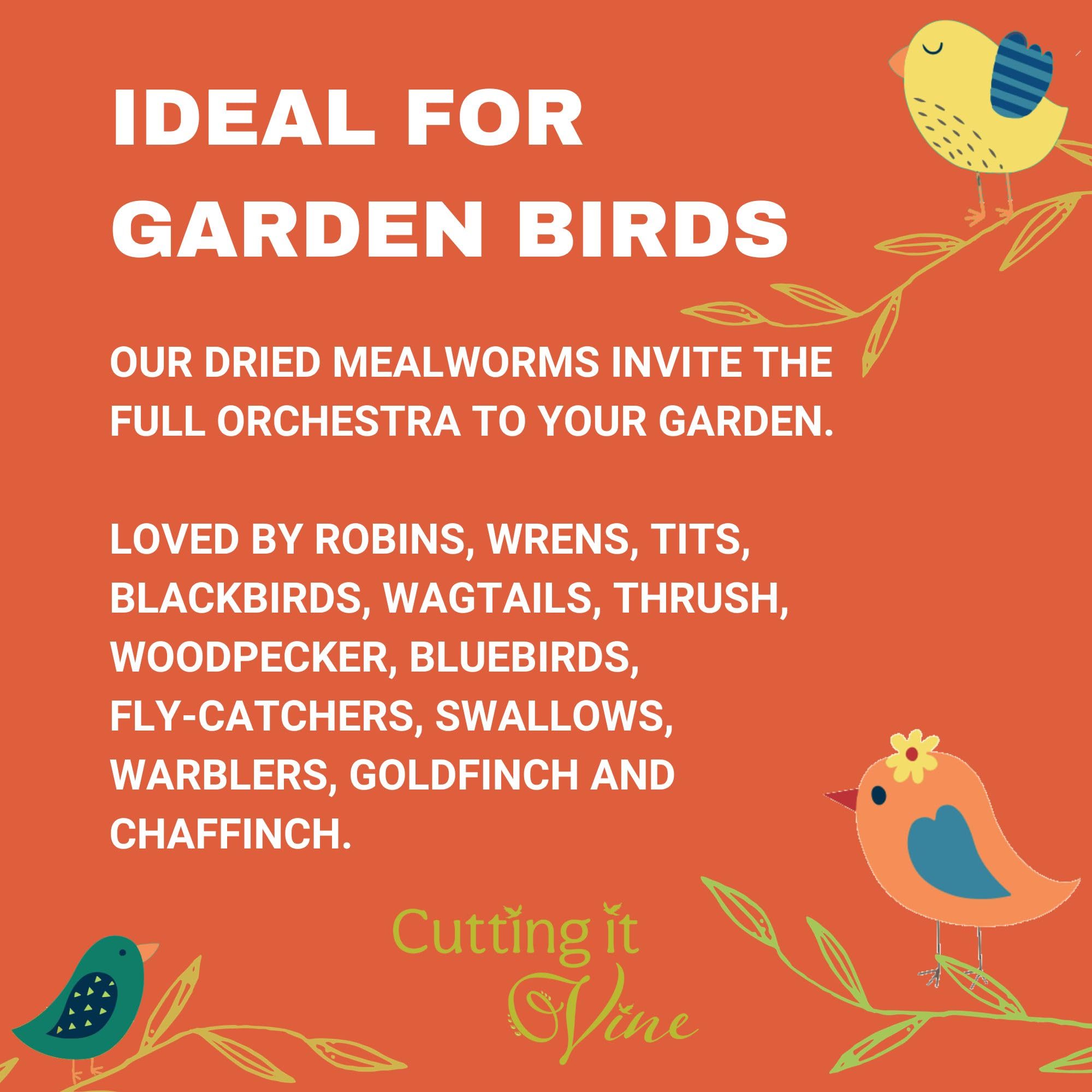 Dried Mealworms - Wild Bird Food 5L Reuseable Bucket (5L Tub) - 5
