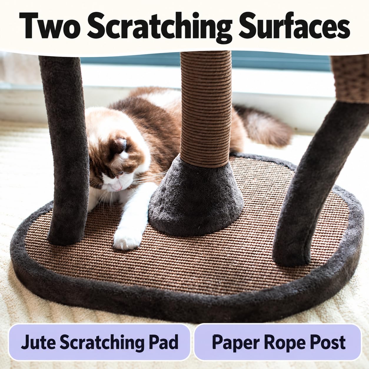 キャトリー キングダム キャットツリー 199cm キャットタワー Amazon | Catry Cat Tree - ブロッサム - オールインワン キャット
