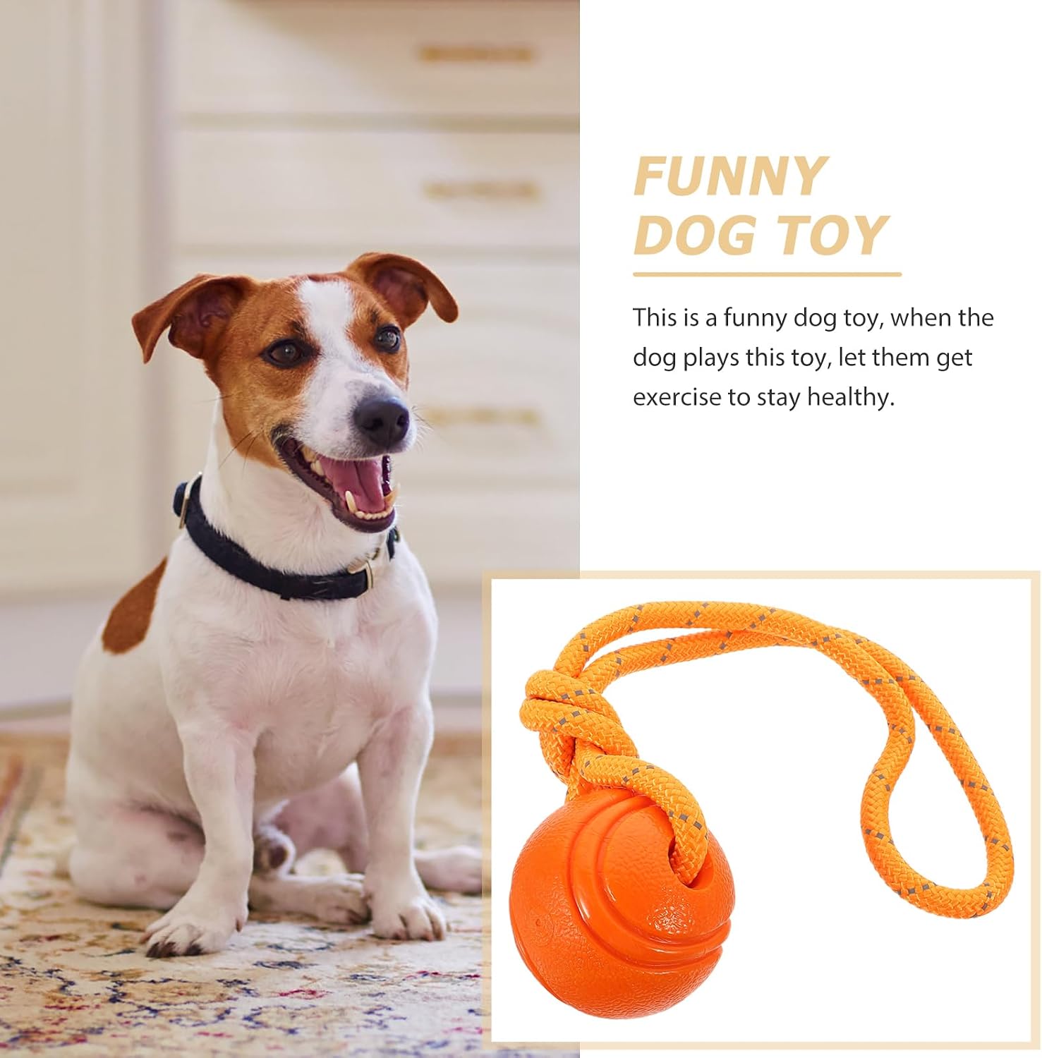 Mipcase 3pcs Play with Toy Kitten Accessories Chew Puppy Accessories Small Dog Accessories Cat Accessory Dog Supply Cat Supply Portable Puppy Plaything Rubber The Dog Pet Supplies