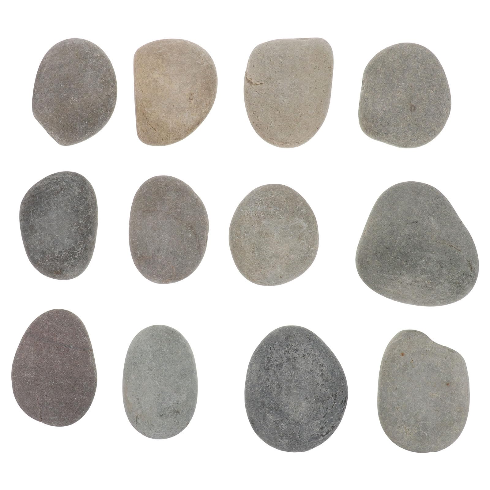 Galets lisses pour peindre NUOBESTY 12 pierres plates sans aspérité pour ateliers artistiques