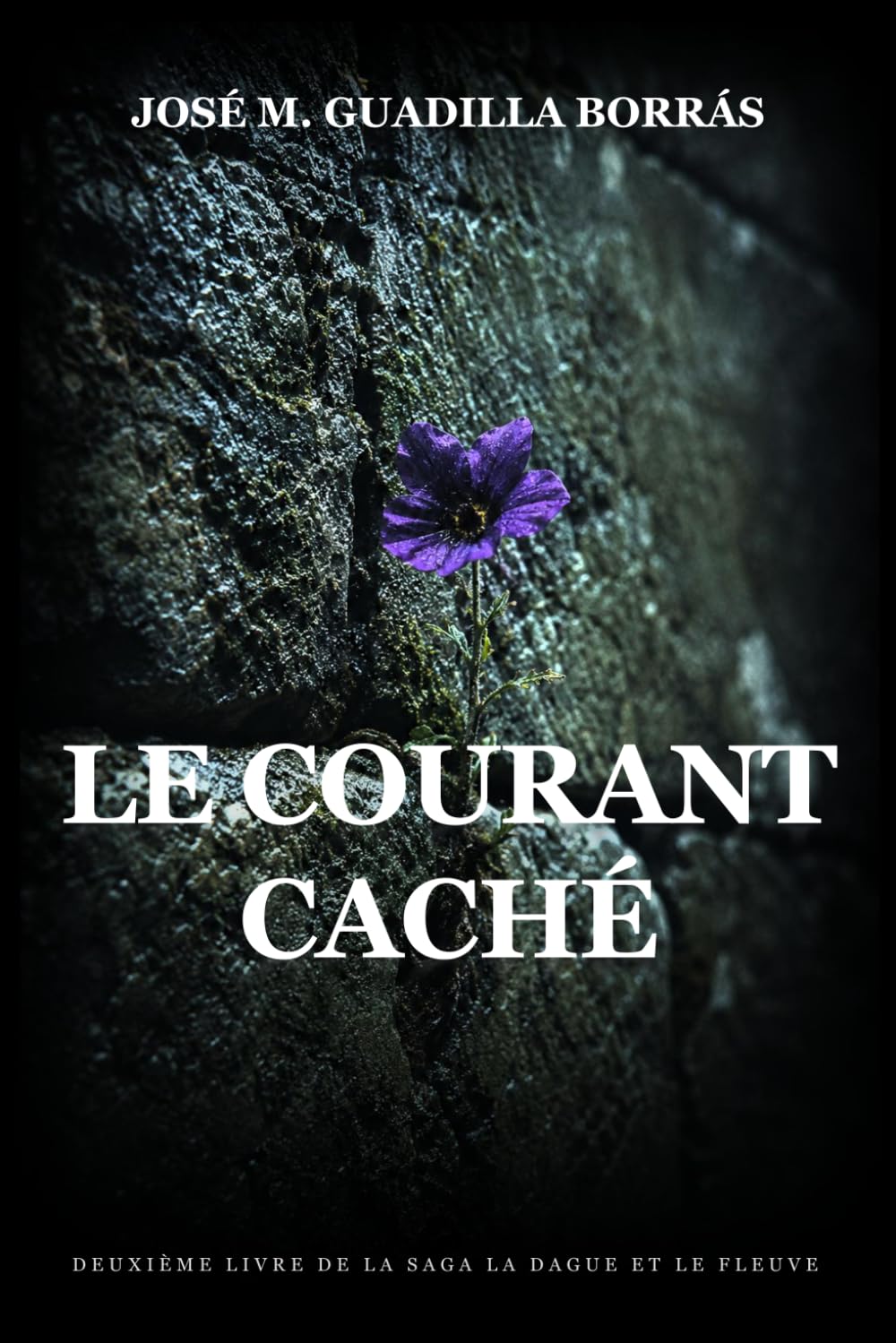Le Courant caché: Un roman historique épique (La Dague et le Fleuve)