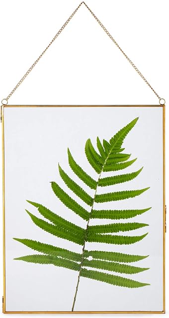 NCYP 20x25cm Hanging Glass Photo frame, Gold Vintage Floating Frame Display Picture Pressed Dried Flowers, Certificate, Brass Plant Specimen Clip, Large Modern Vertical Wall Decor, Glass Frame Only