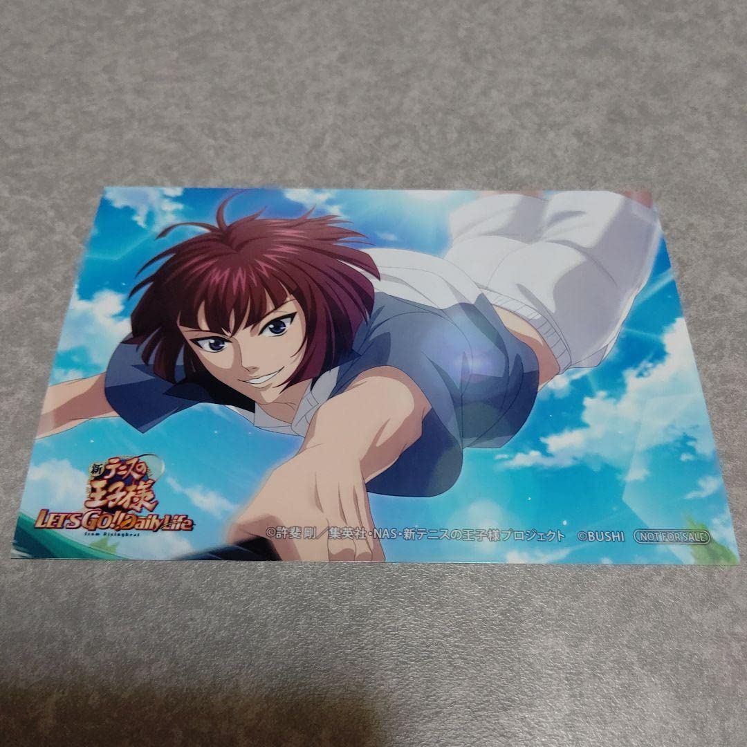 Amazon.co.jp: 新テニスの王子様 氷帝 テニゴー 特典ブロマイドセット