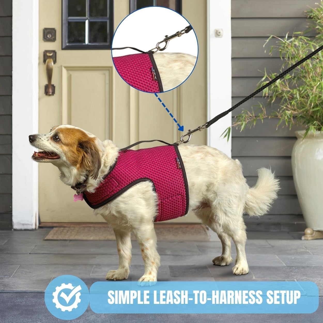 Yap 42 Inch Long Leash for Dog Training; No-Pull Dog Leash with Drop-Proof Strap, Compression Grip & Anti-Rope Burn Design, Black Dog Rope for Small to Medium Dogs; Fits Yap Harness (XS–M)