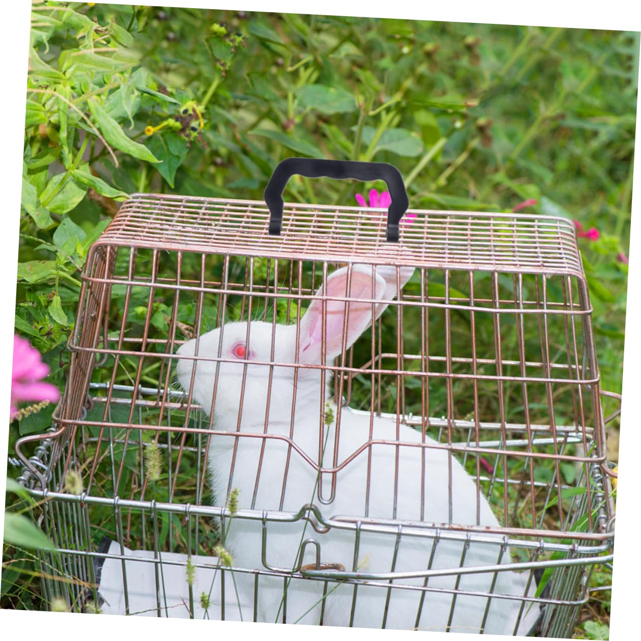 10 Housses En Mousse Pour Poignée De Laisse Chien - Antidérapantes, Confortables Et Durables - Noir