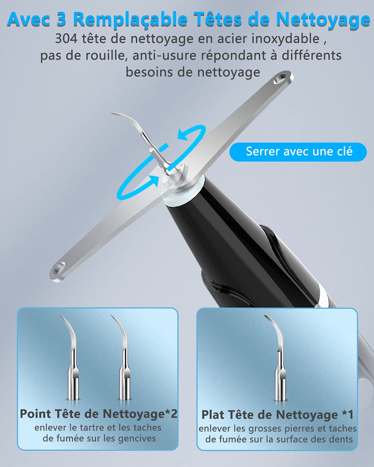 Kit de Nettoyage Dentaire | Brosse à Dents Électrique avec Hydropulseur | Pour Hygiène Buccale et Haleine Fraîche | Accessoires Inclus