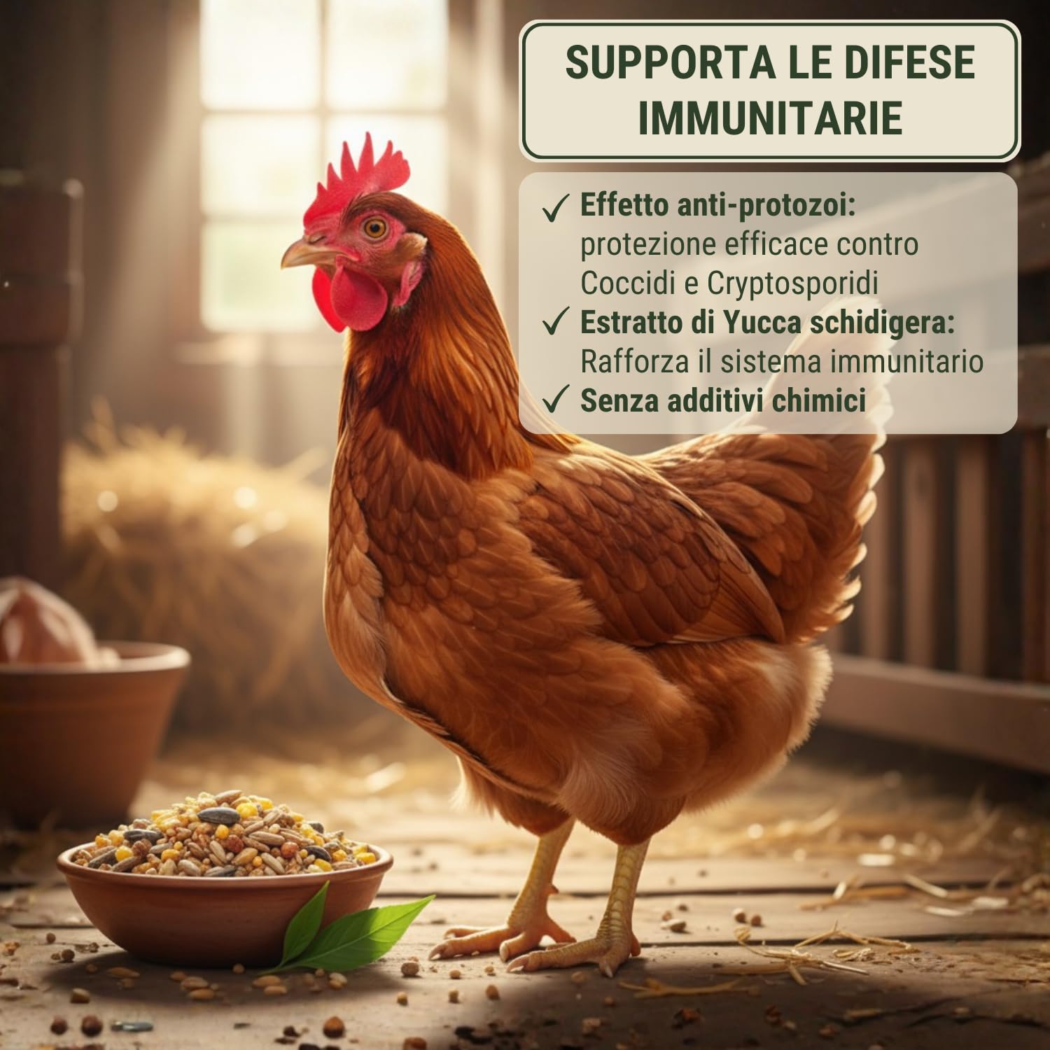 Leimüller Mangime per Galline Ovaiole Immun Plus 25 kg - Muesli con Pellet Vitaminici - Per Sistema Immunitario Forte & Vitalità - Premium Austria Senza OGM