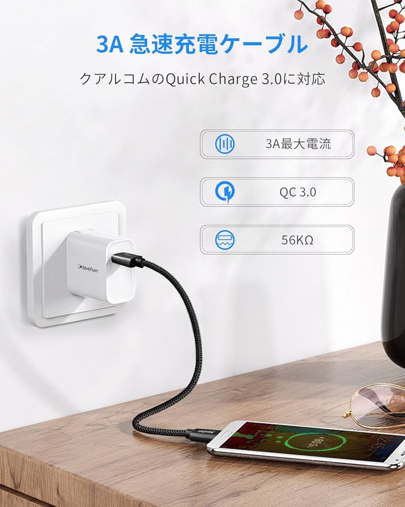 Amazon.co.jp: [30cm 2本] USB Type C/タイプc ケーブル 短い CLEEFUN