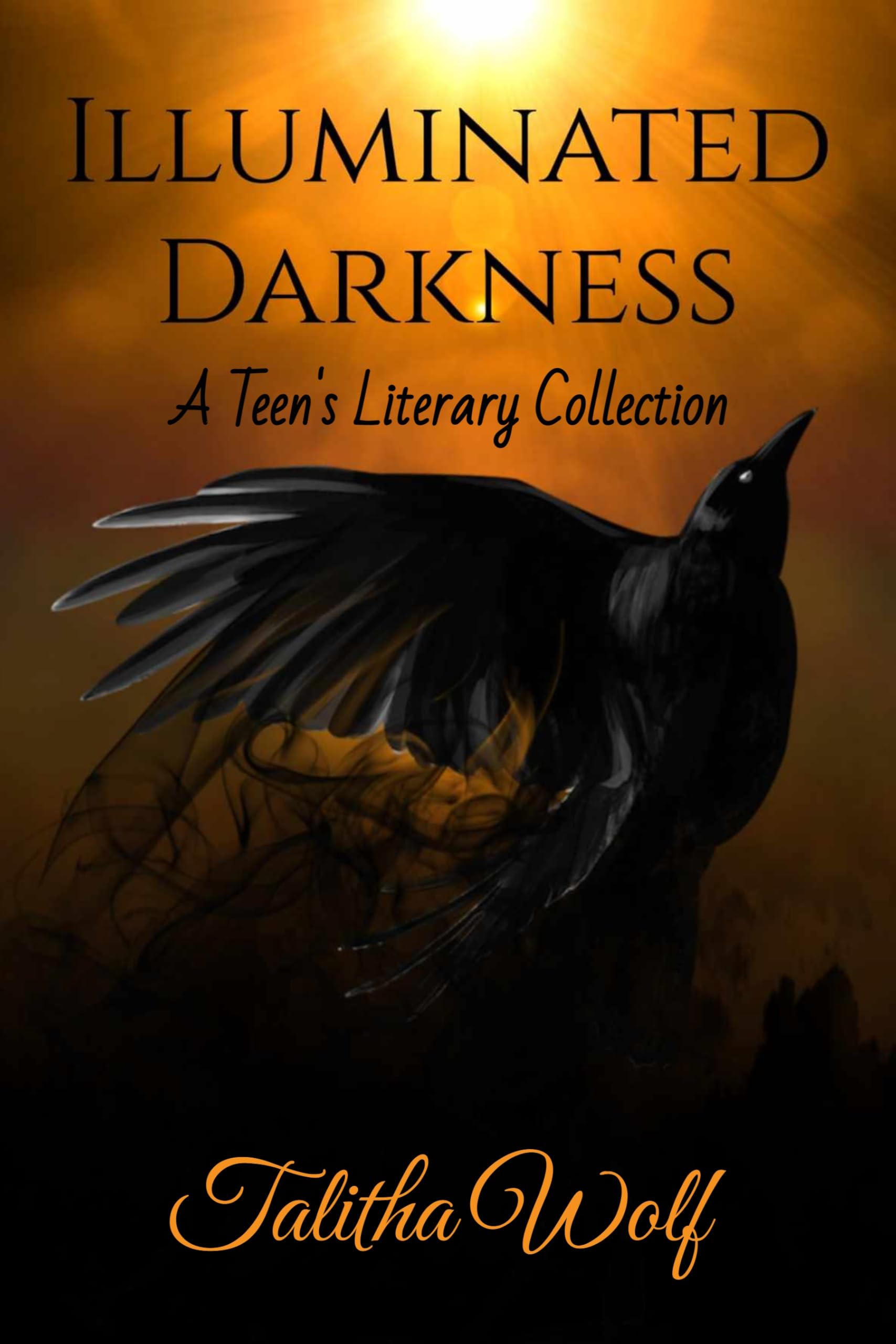 Illuminated Darkness : A Teen's Literary Collection