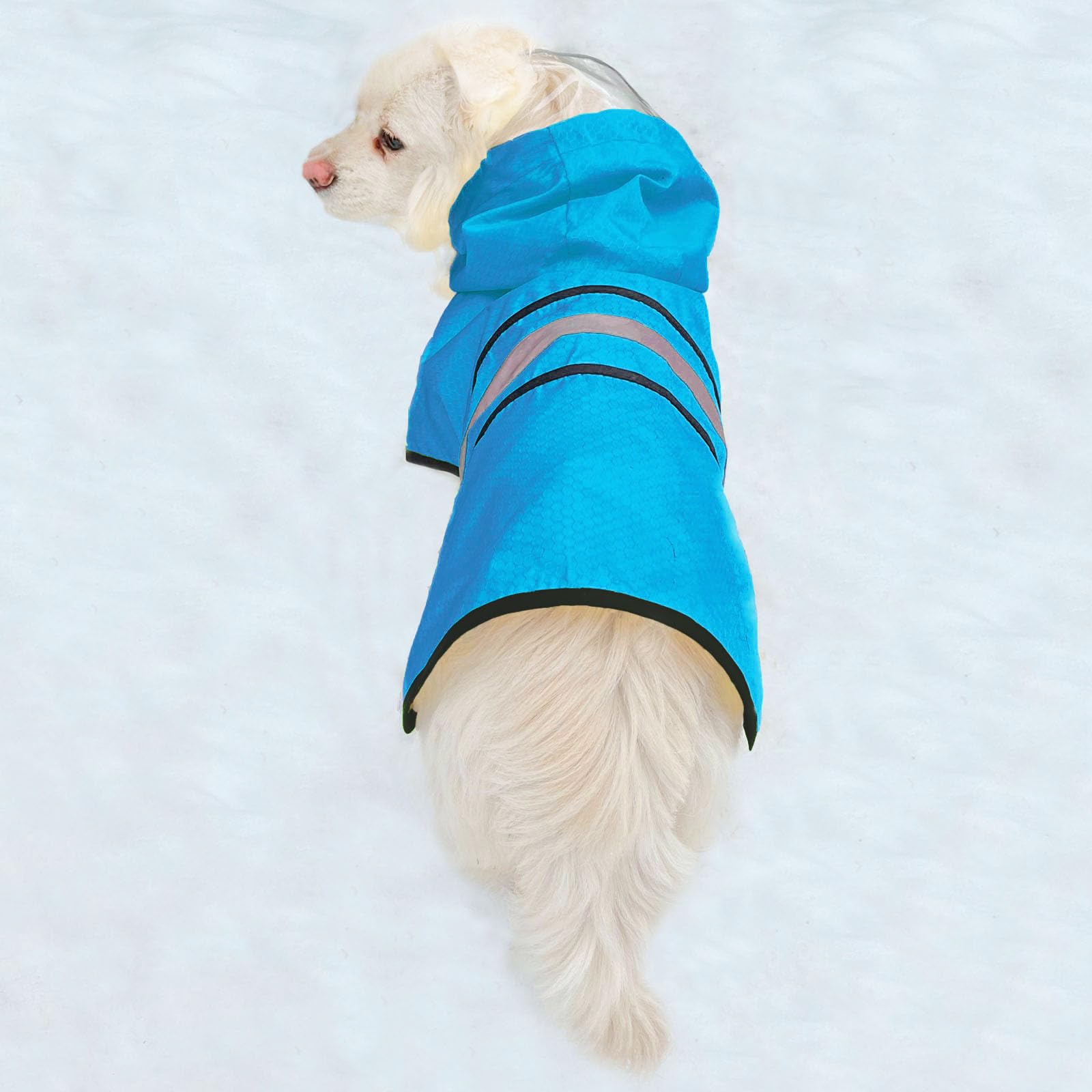 Hunde-Regenmantel, wasserdicht, reflektierend, Zupfer – leicht, atmungsaktiv, mit Kapuze, Poncho, Regenmantel, mittelgroße und große Hunde (X-Large, Blau)