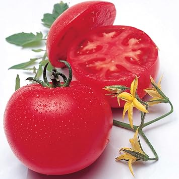 Kitazawa Seed Co Tomato Seeds Momotaro Tough Boy Fight- Hybrid 10 Seeds