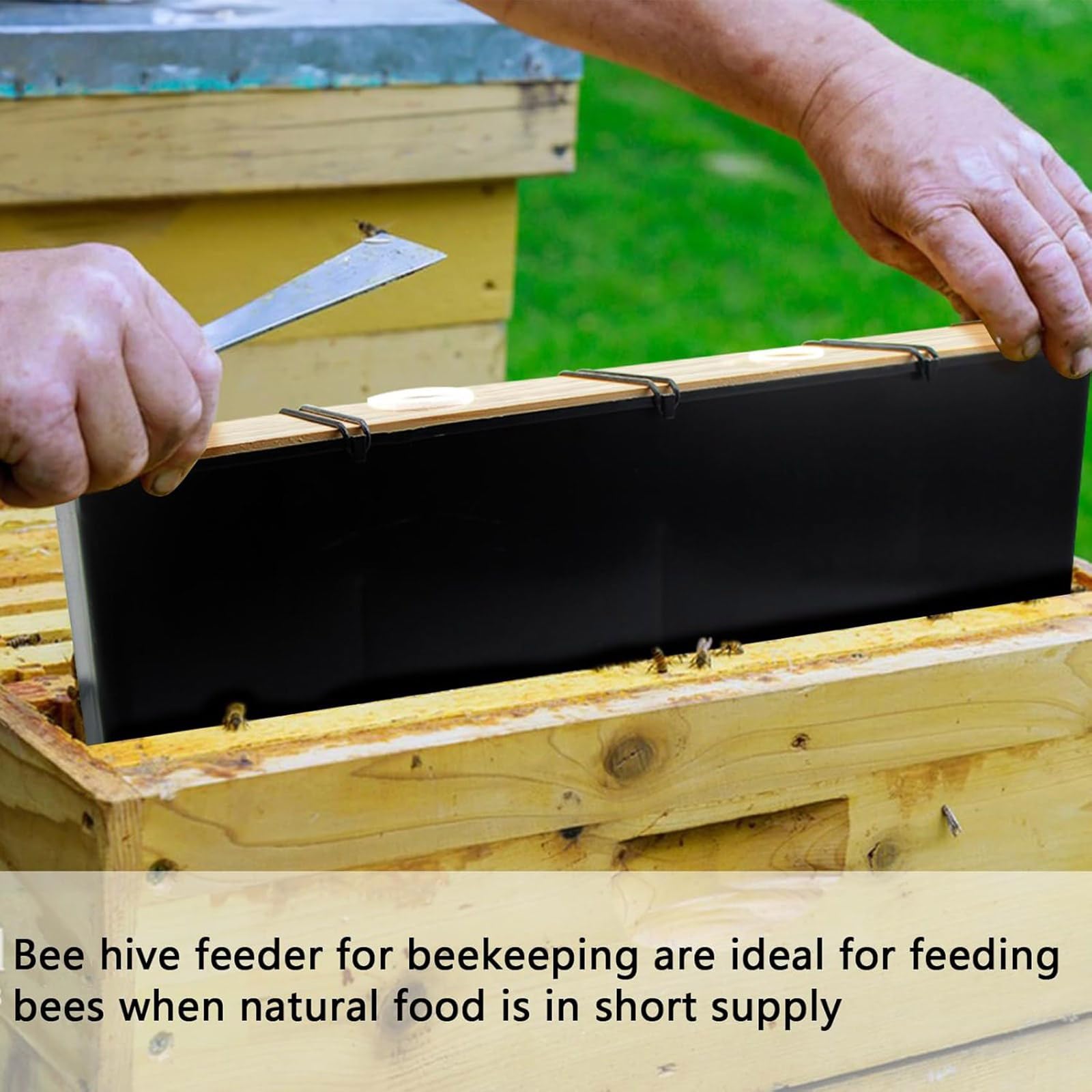 Strumento Apicoltura Alimentatore Beehouse Attrezzatura in Plastica per Bere Attrezzatura per Distribuzione Apicoltura per Alimentazione Alimentare L'alimentatore Plastica