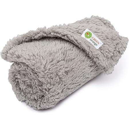 green dog blanket