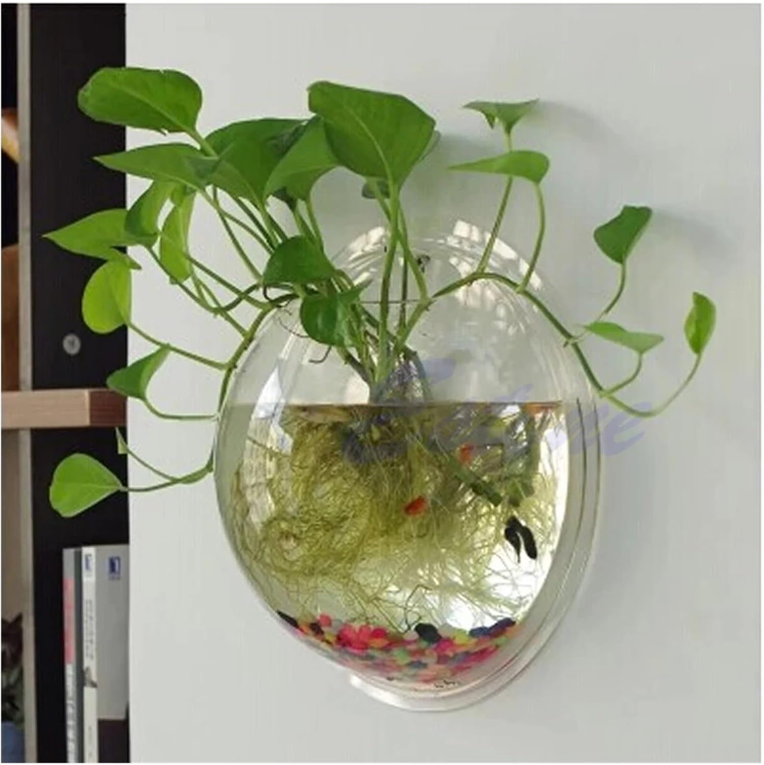 Wall-Mounted Acrylic Fish Bowl - Transparent Hanging Fish Tank & Planter for Home and Office Decor(Transparent)