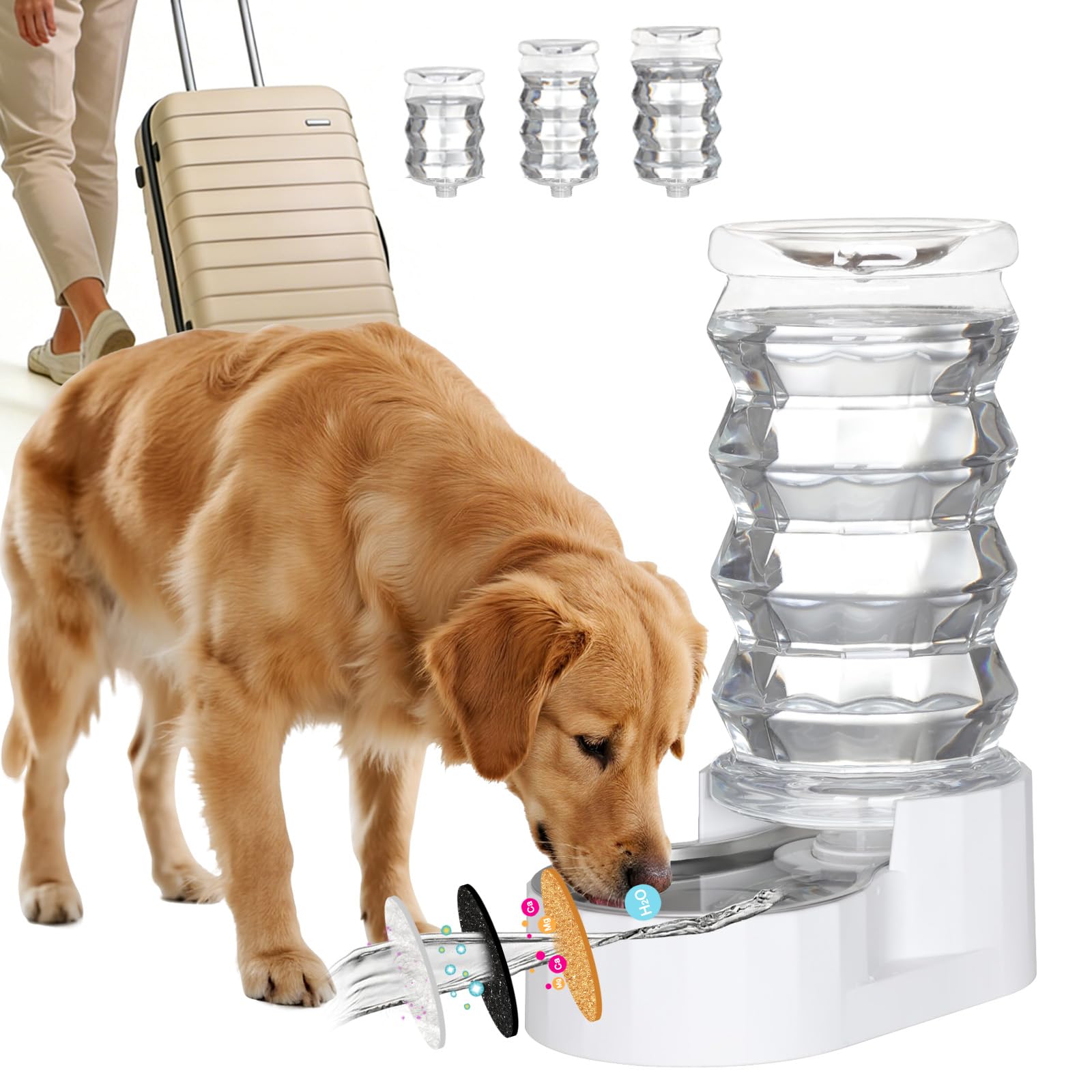 RIZZARI Large Gravity Water Dispenser: 8L Auto-Refill Stainless Steel Dog Water Feeder with Triple Filter - No Spill and BPA-Free - for Large or Active Dogs & Multi-Dog Households - Porch - Garden