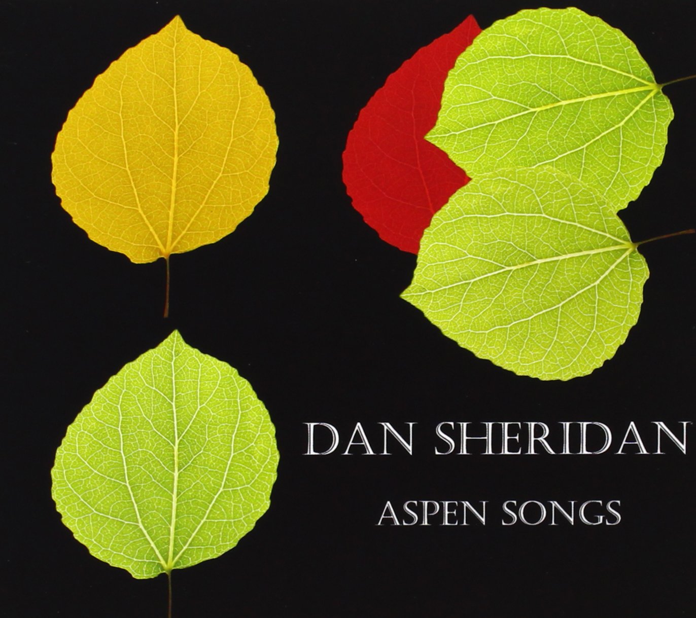 Aspen Songs