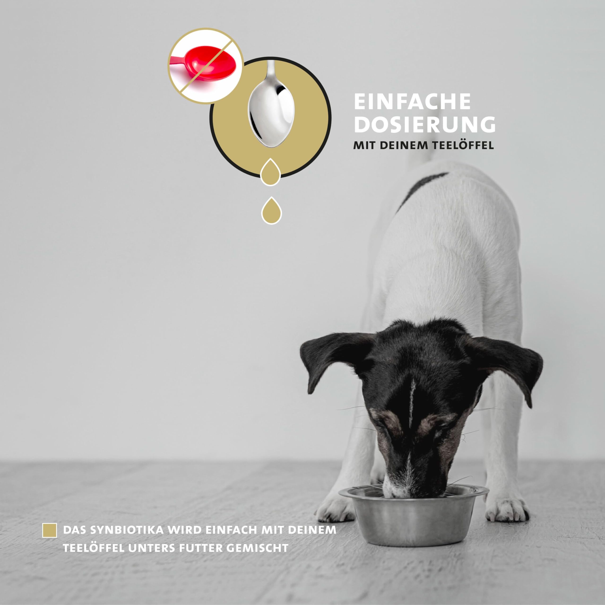Peticare Probiotika & Präbiotika Pulver für Hunde | Immunsystem stärken, Darmsanierung, Darmflora aufbauen | bei Allergie-Anfälligkeit & Juckreiz | natürliches Ergänzungsfutter - petDog Health 2501