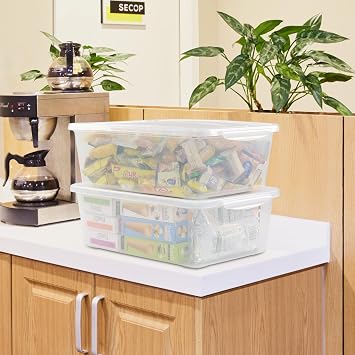 16 Quart Clear Latching Bin, 2 Pack Multiuse Plastic Container Box
