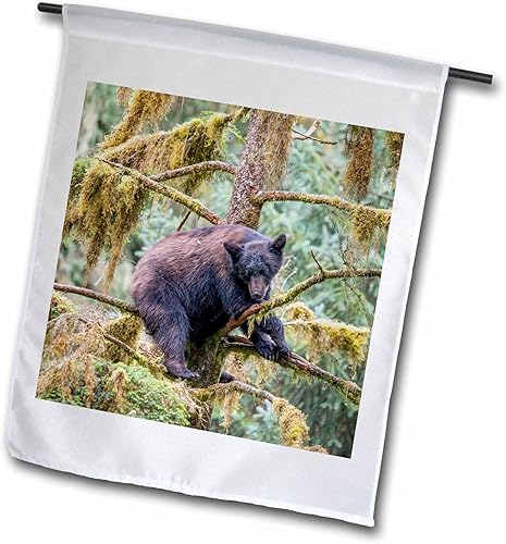 3dRose Black bear cub finds safety in a tree at Anan Creek. - Flags (fl-380595-1) disponible en Yaxa Venezuela