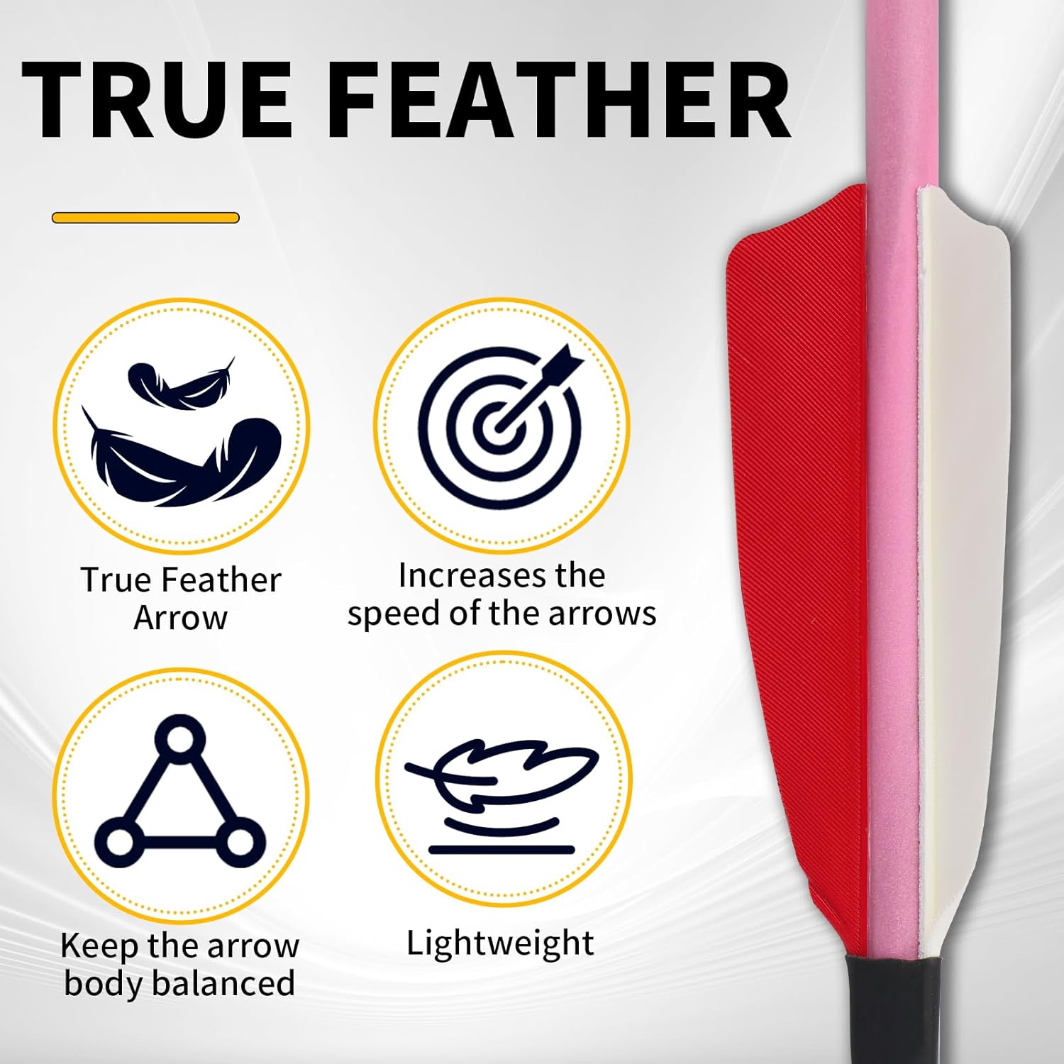 30 Inch Carbon Arrow Practice Hunting Arrow, Glow in Dark, Detachable Tip, for Composite and Recurve Bows, 12 Pack