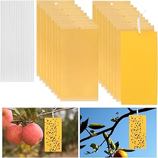 Dual-sided Fly Trap Sticky, 25Pcs Plant Fly Catcher, Board Fruit Fly Traps Sticker Insect Gnat Traps, Yellow Fly Stickers for Mosquitos, Flying Aphid, Whiteflies, Fruit Flies, Fungus Gnat and Vermin