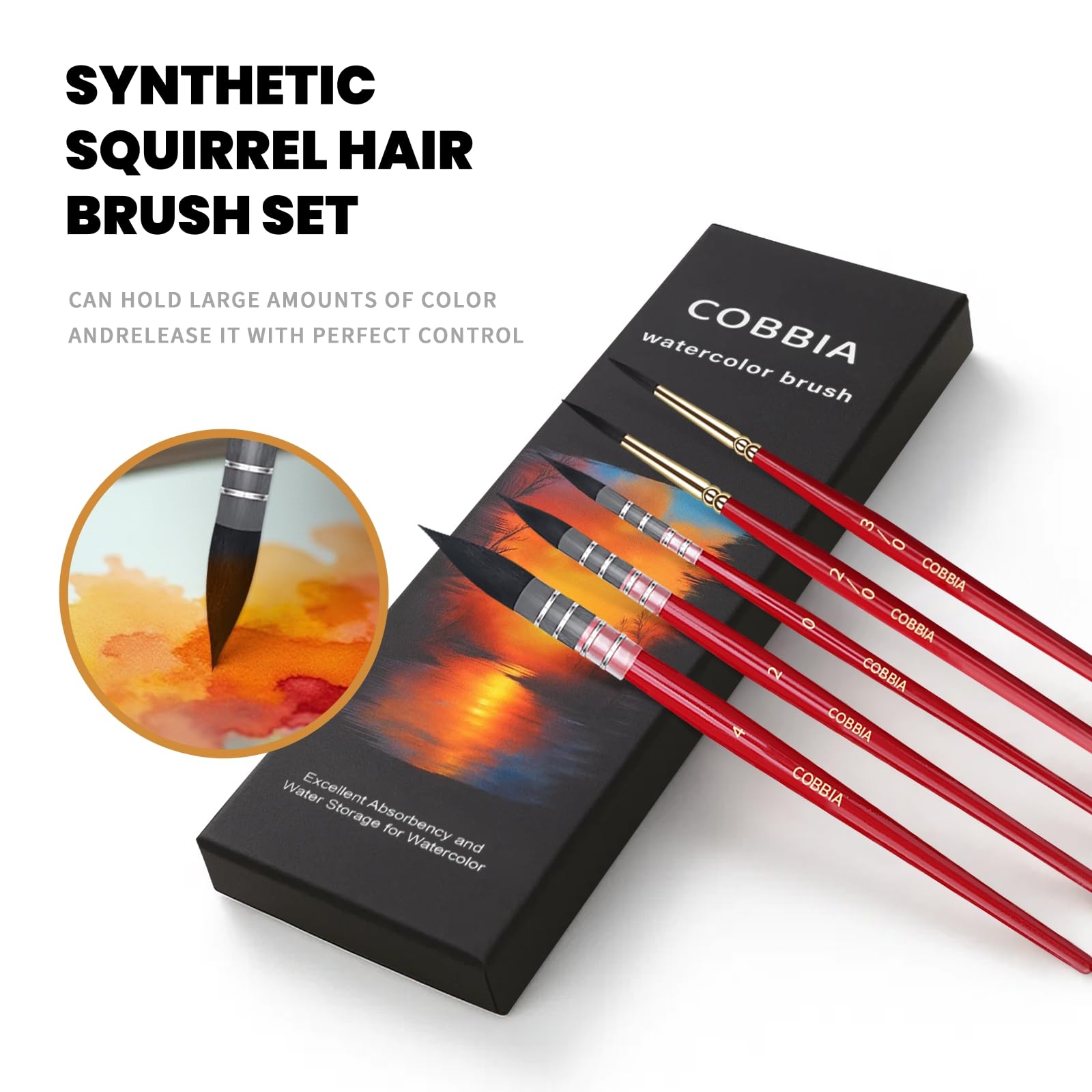 Watercolor Brush Set - 5 Synthetic Squirrel Brushes -4