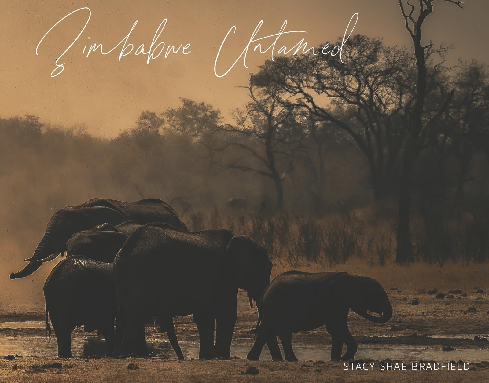 Zimbabwe Untamed l'histoire oubliée d'une terre africaine indomptée