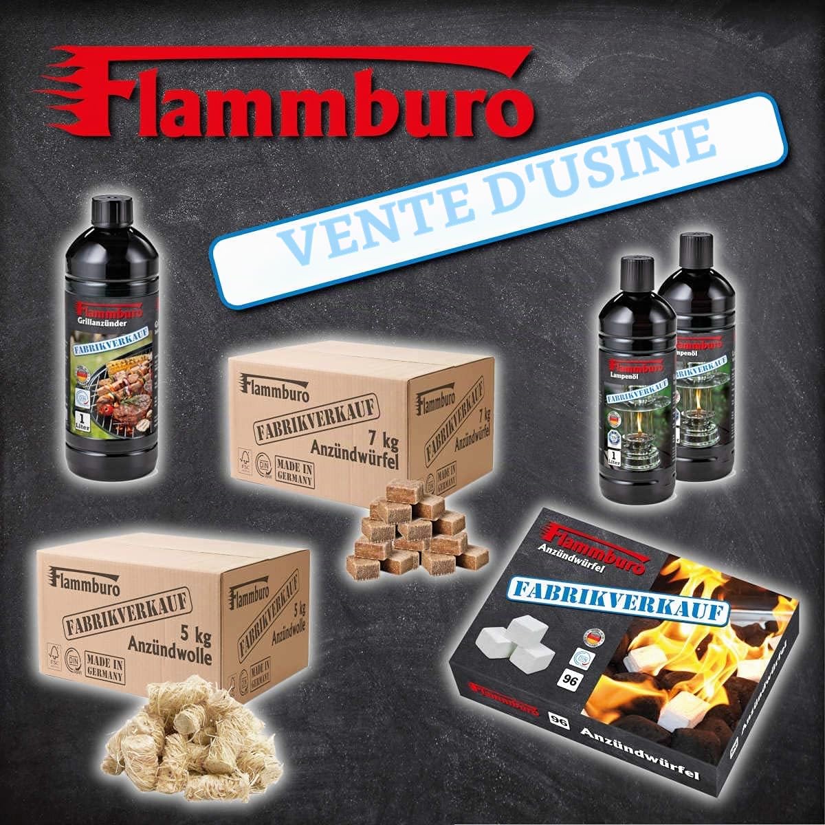 FLAMMBURO Lot de 10 blocs de cheminée de 1,1 kg – Bois de cheminée, bois de chauffage, bois, cheminée, poêle, bûches de cheminée, combustible, Firelog, Eco-Block, briquet, allume-feu, allume-feu,