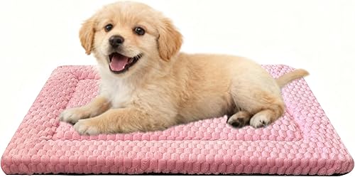 Miniatura 16 de Alfombrilla para Cama de Perro – Almohadilla de Perrera Suave y Cómoda para Jaula – Cama y Almohadilla Duradera para Perros y Gatos – Ideal para