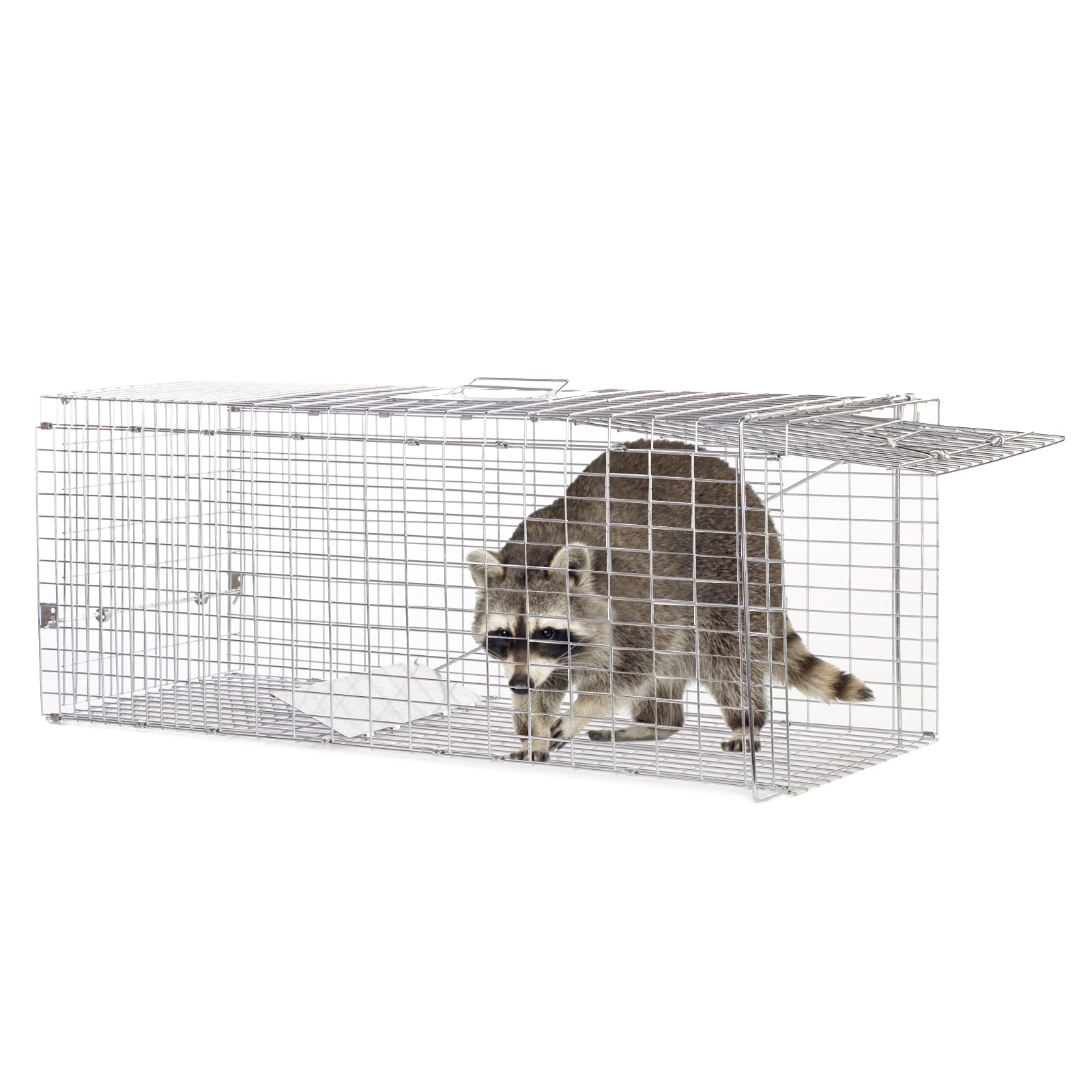 animal traps,live animal trap for cats,raccoons,rabbits,cat trap for stray cats,live traps for raccoons,steel foldable with pedal triggers (37.2 x 13 x 14.37 inches)